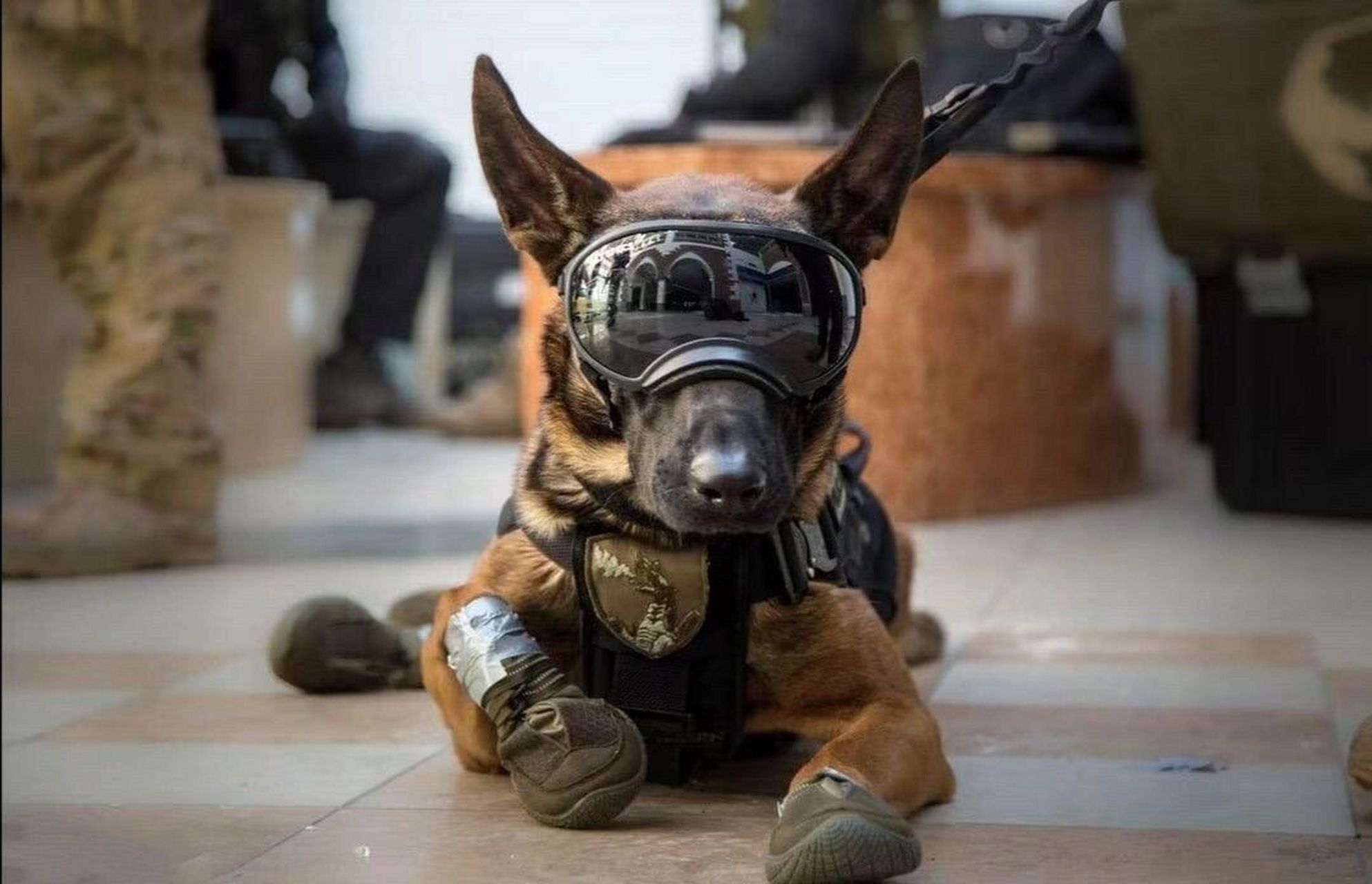 军迷大作战# #特种兵# #战术小队# #军事# #战术装备# #特警# #波兰