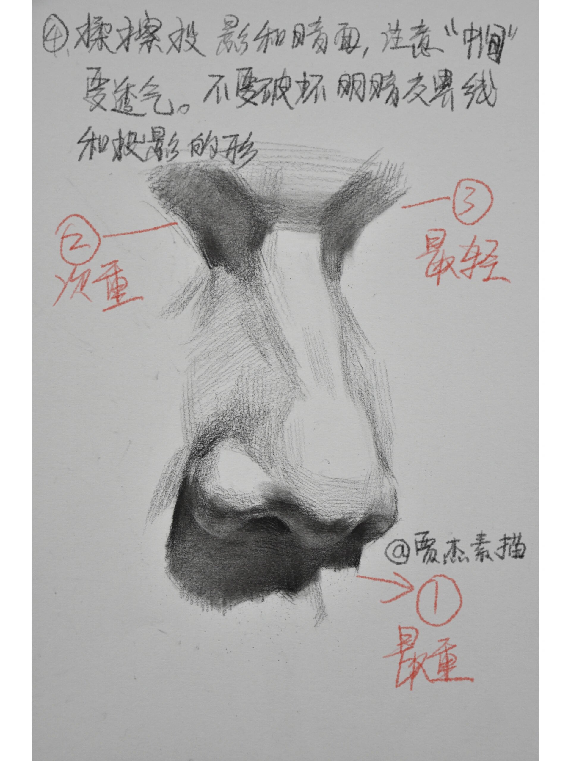 新手入门素描画鼻子图片