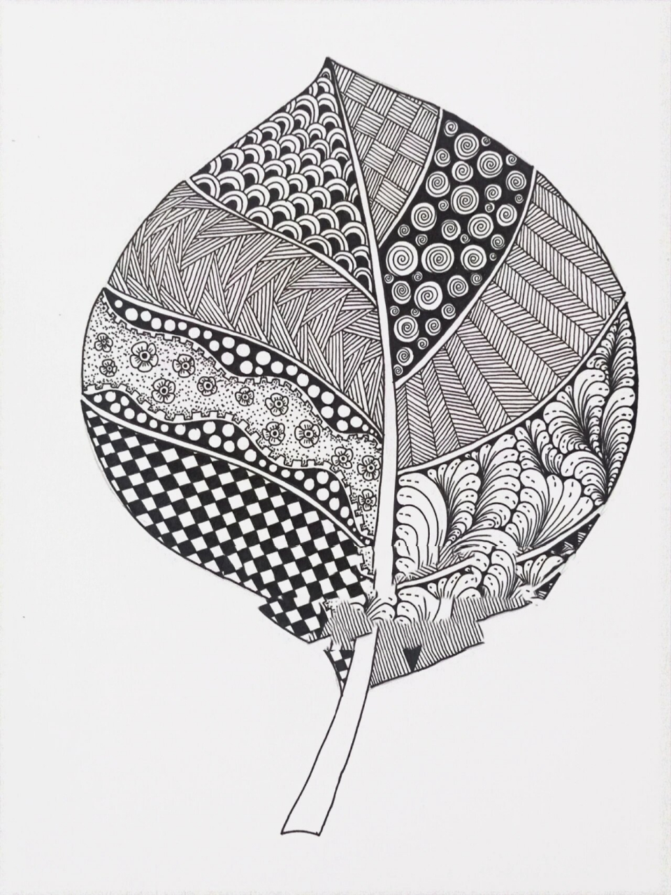 线描创作‖原创黑白线描画《叶子》图文版 一片叶,两片叶,片片叶,将你