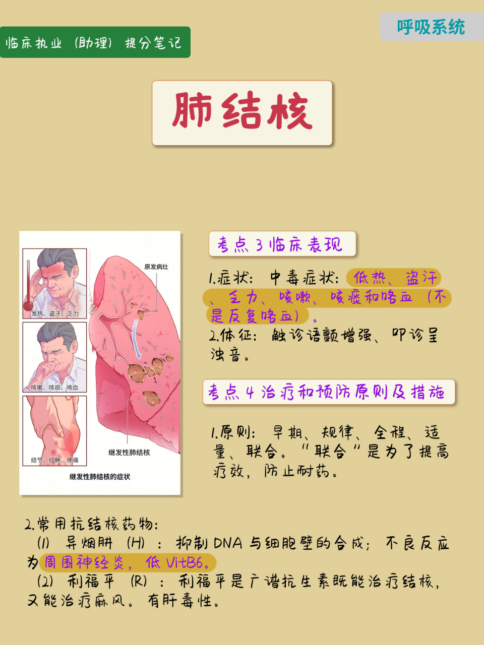 原发型肺结核 (1)题眼:肺门淋巴结肿大,哑铃征象,儿童.