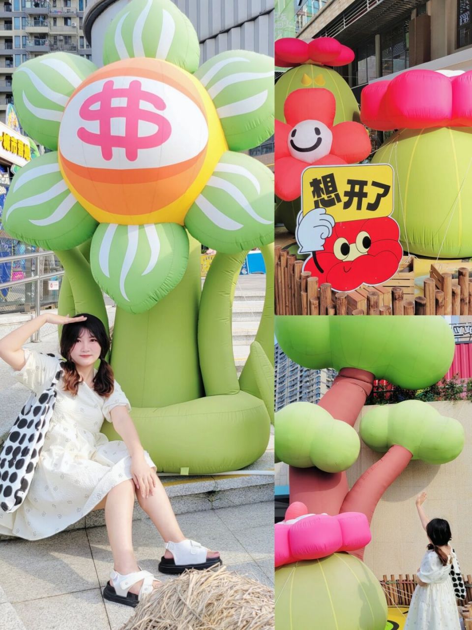 不常坐地铁5号线,没想到金凯路地铁口出来还有这么可爱花花打卡点