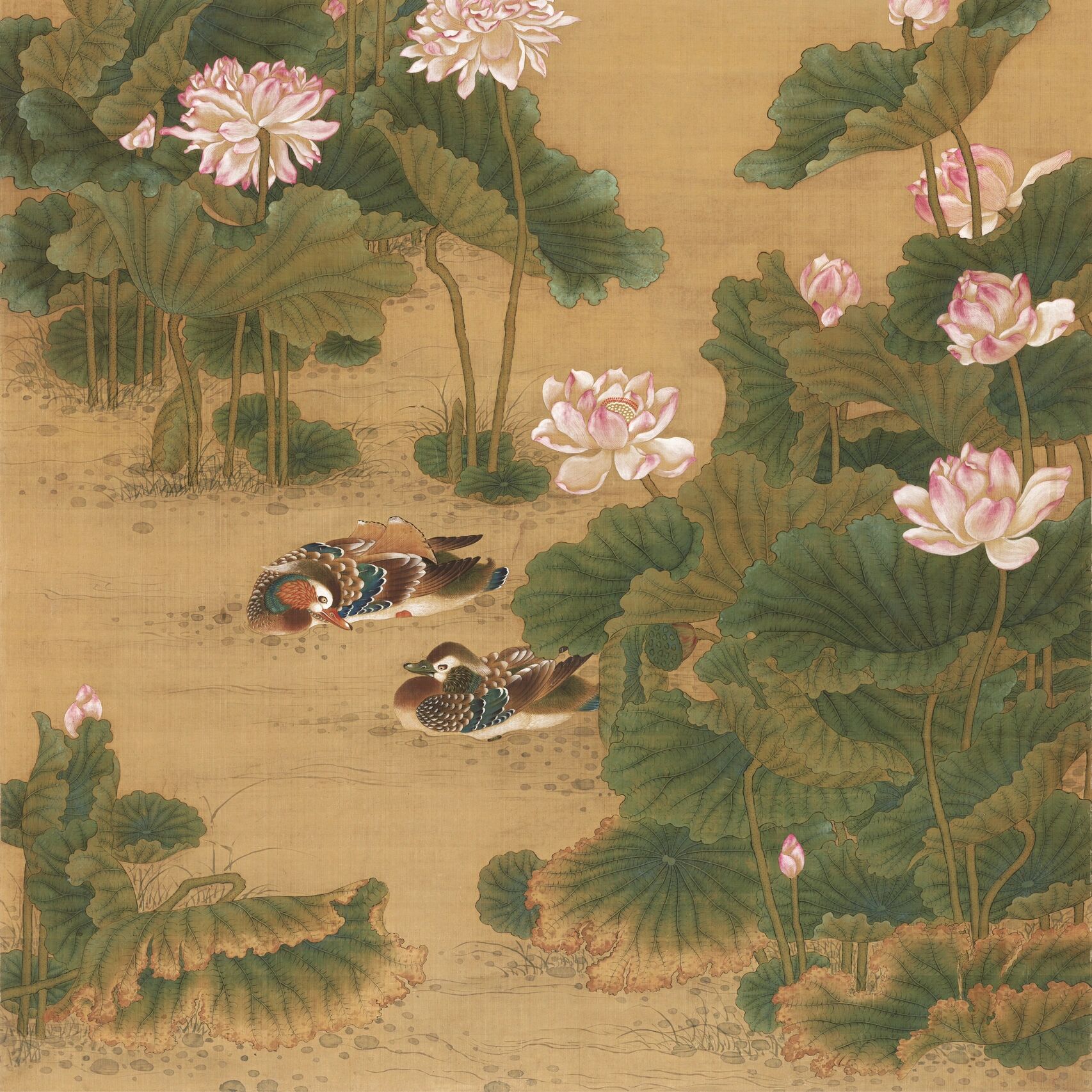 清 沈铨 荷花鸳鸯图 《荷花鸳鸯图》是清代画家沈铨创作的一幅绢本