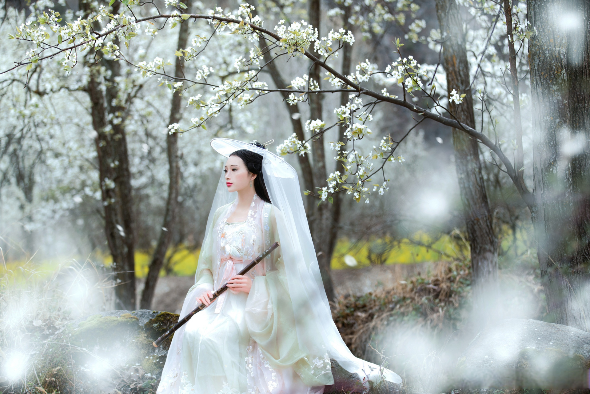 《梨花落》春尽,春意未尽.无需伤春,且自从容.