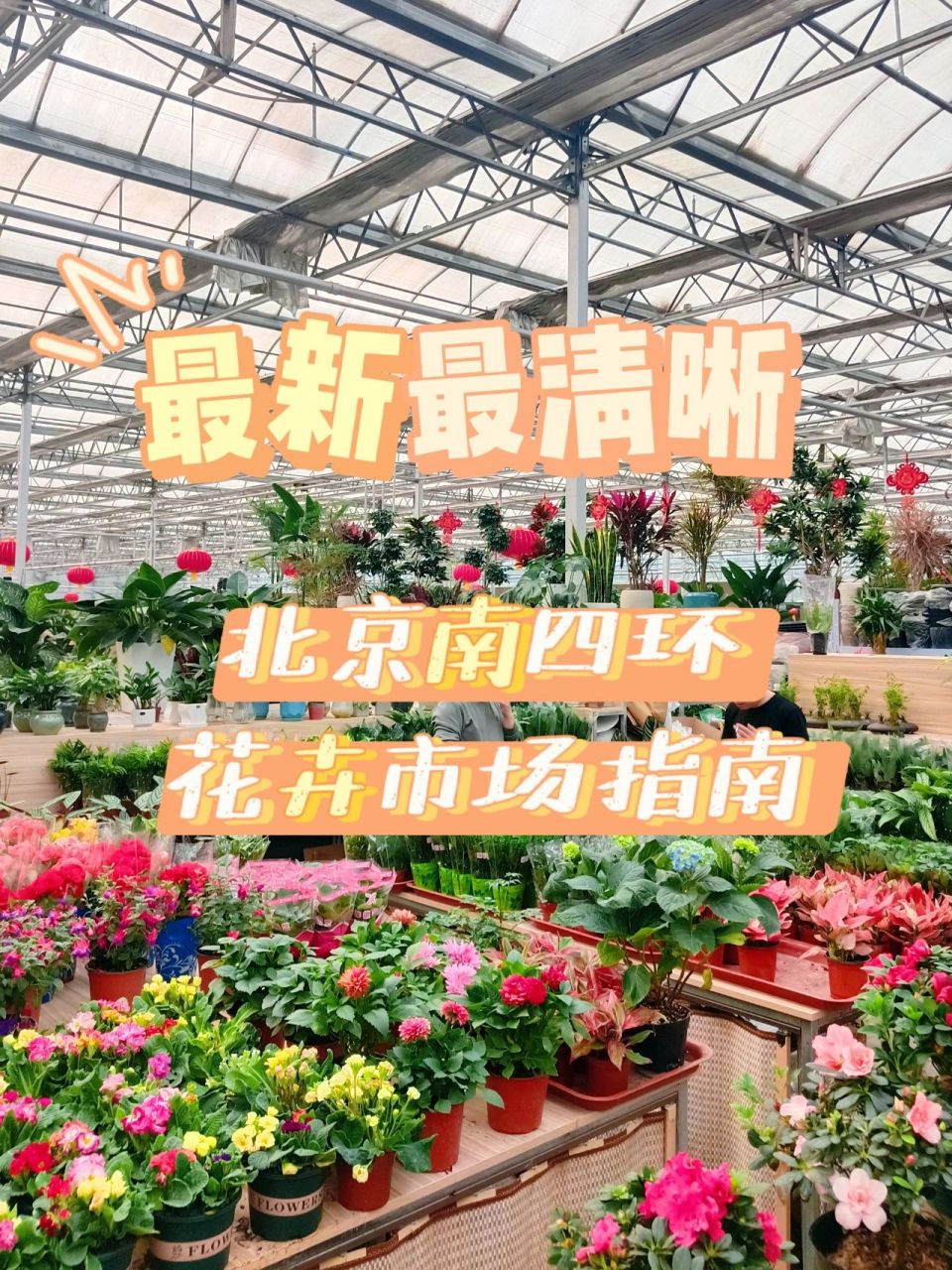 最全最清晰的北京南四环花卉市场指南 终于在小94的引领下跨越半个