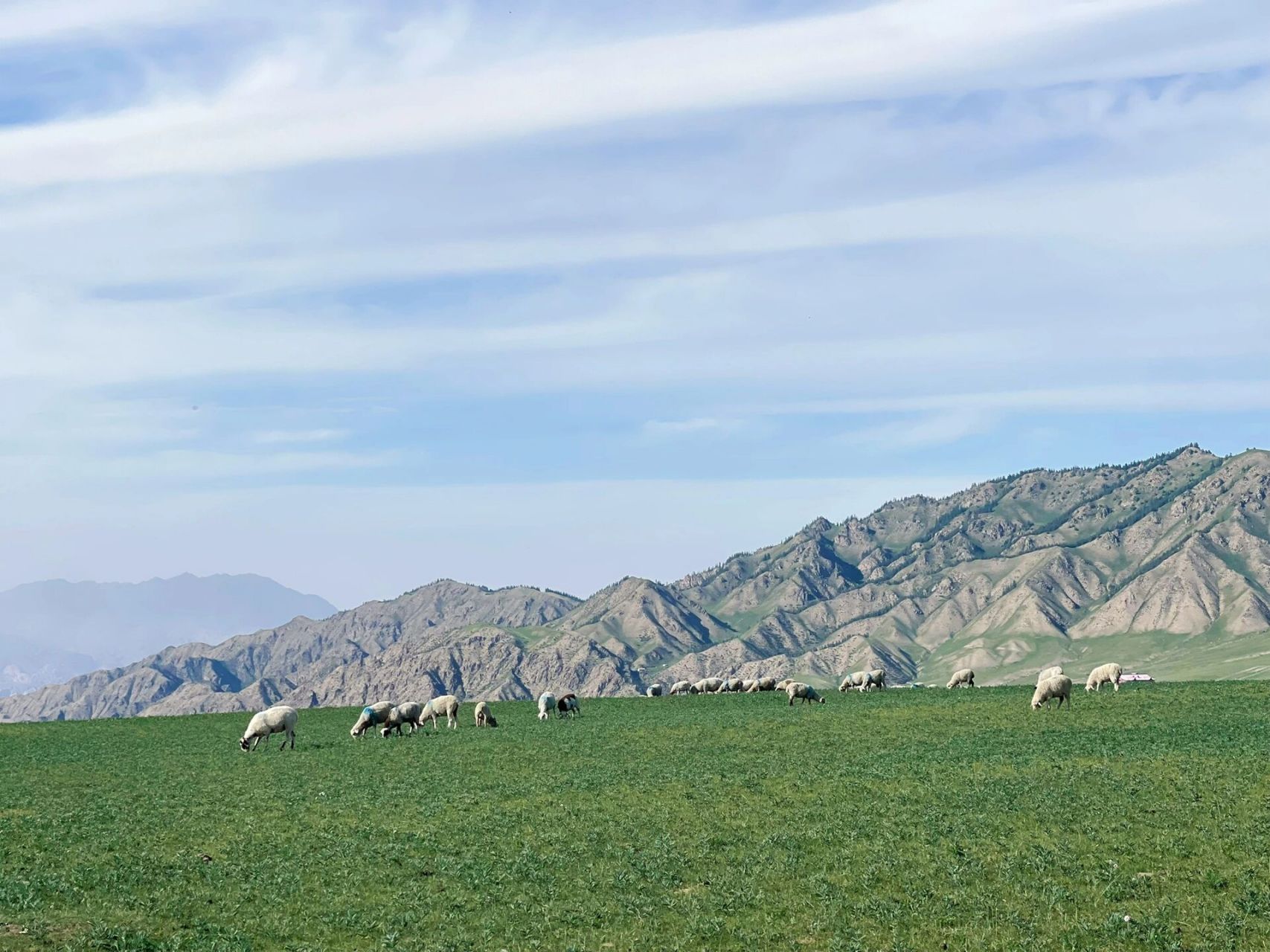 张掖·康乐草原,美到窒息.