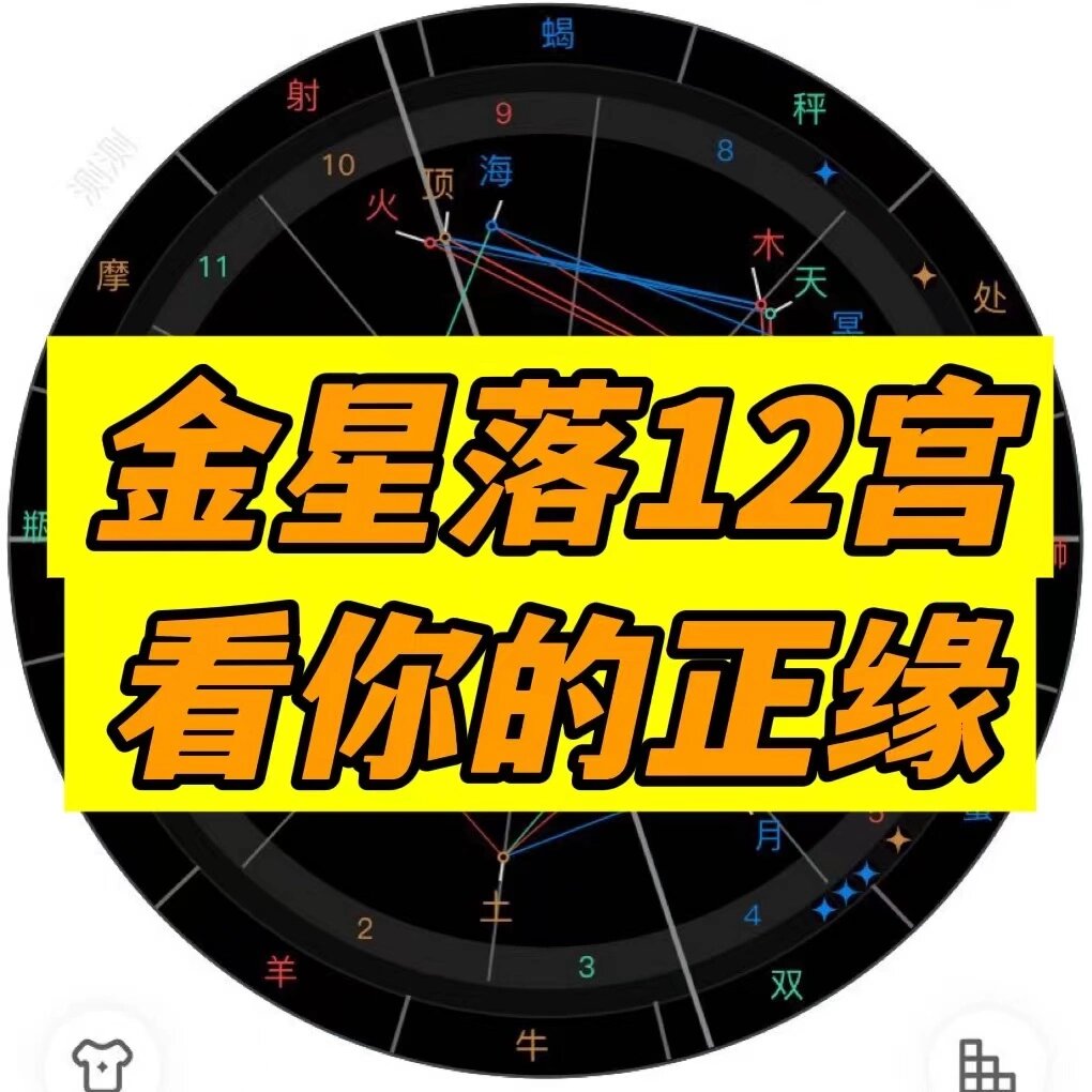 金星12宫前世爱人图片