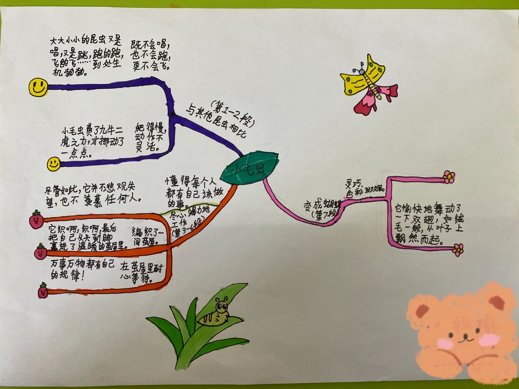 小毛虫超简单思维导图图片