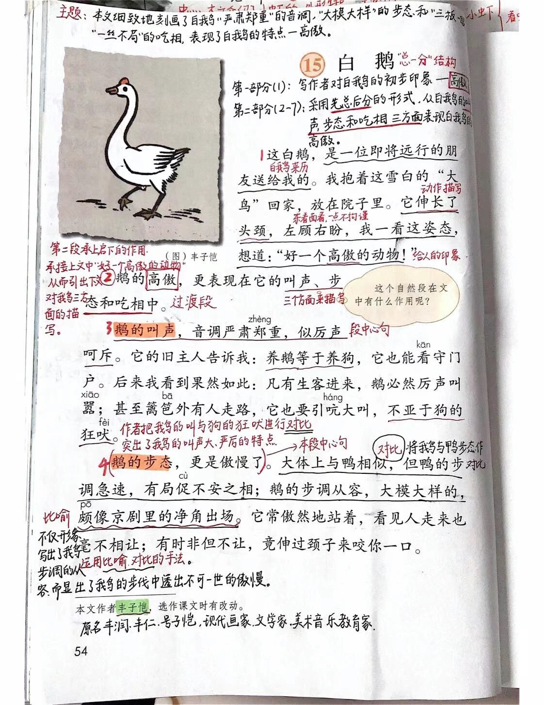 四年级语文下册第15课《白鹅》笔记已更新
