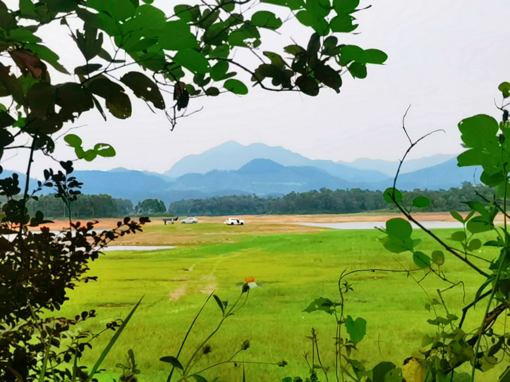 寻皇大草原|台山露营 地址:广东省江门市台山寻皇草原农庄 交通:自驾