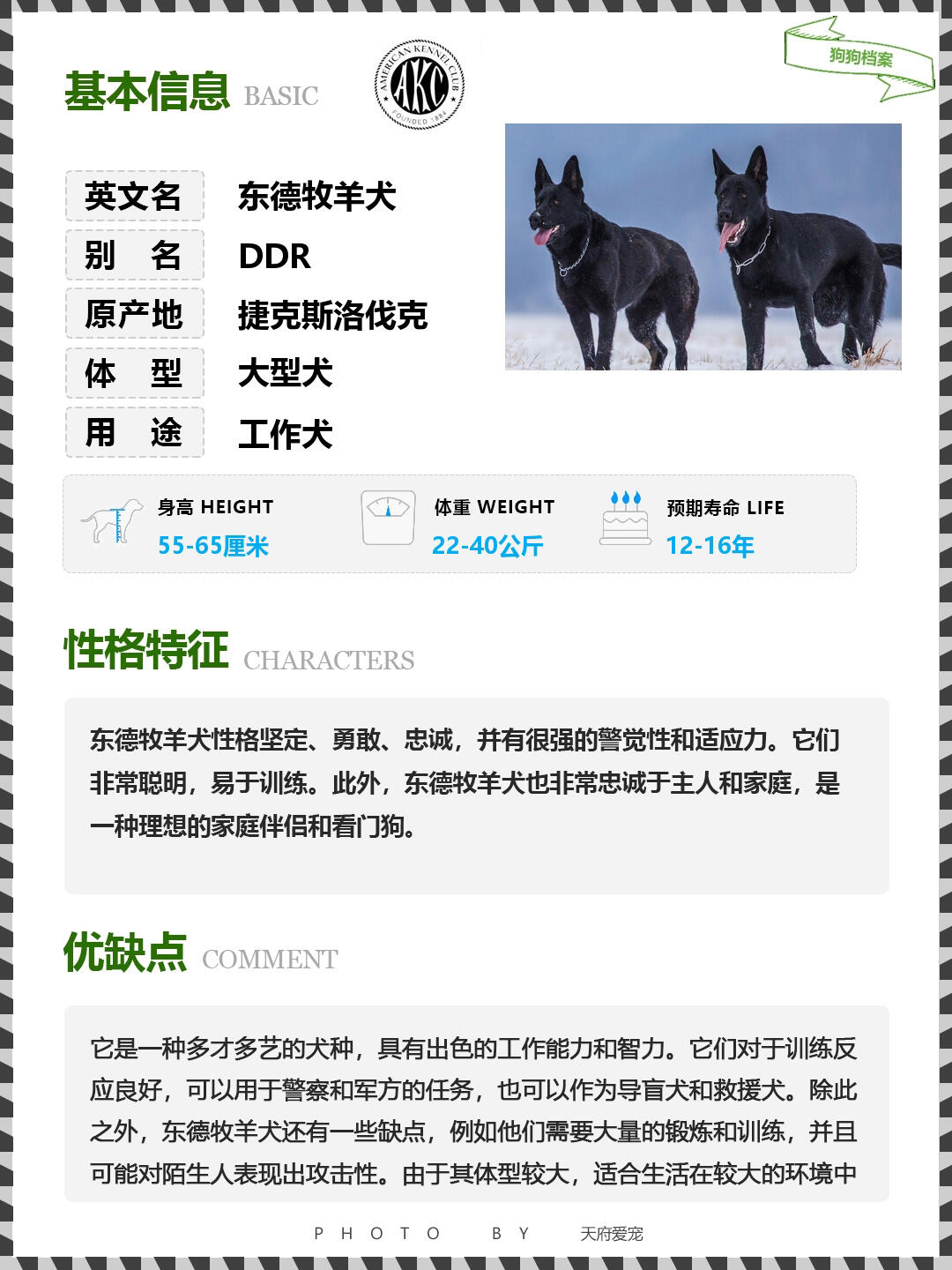 n.047世界名犬|东德牧羊犬 狼青犬图鉴