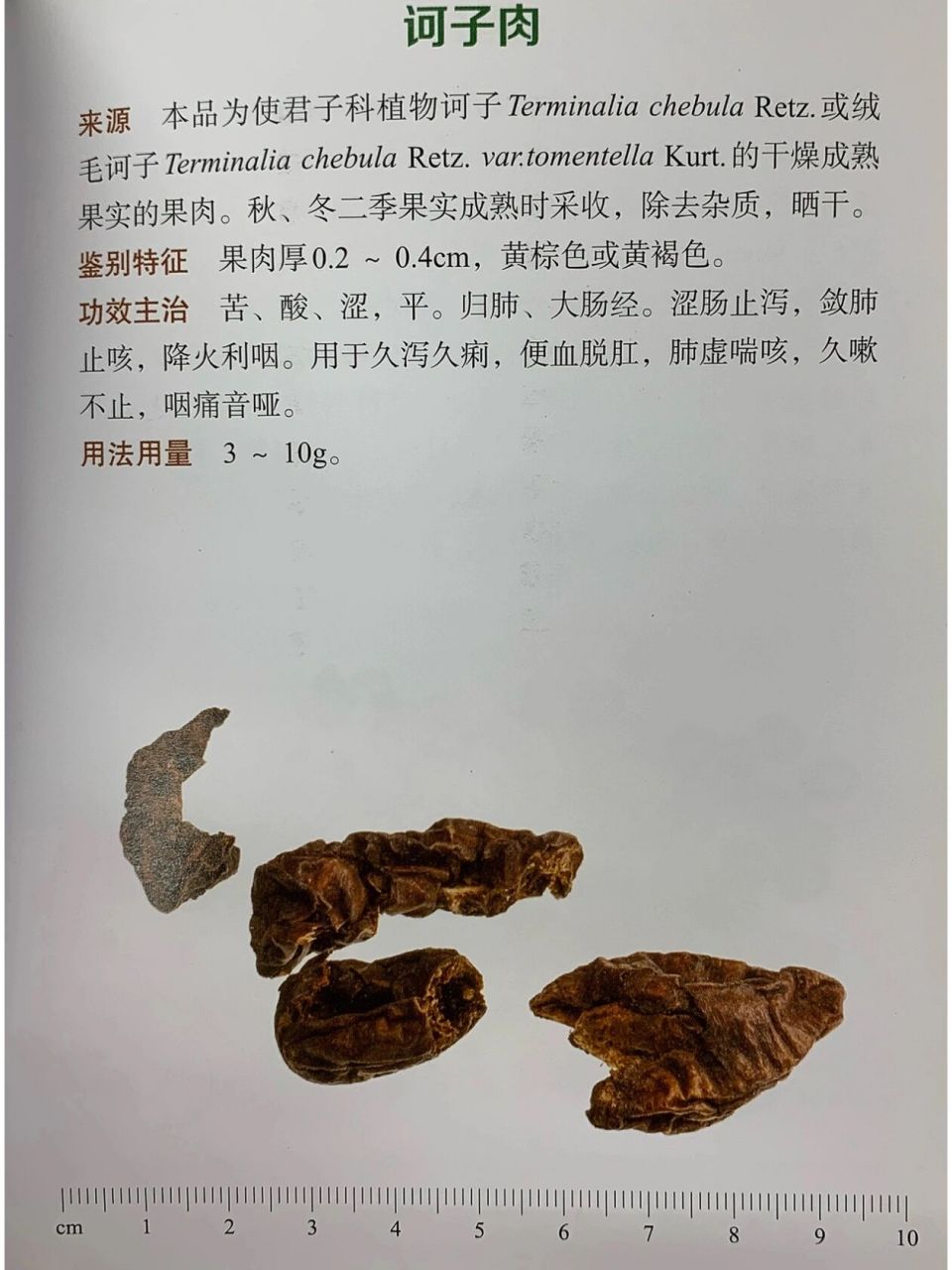 学中药,先认药|诃子,肉豆蔻,赤石脂 收涩药7915敛肺涩肠药79