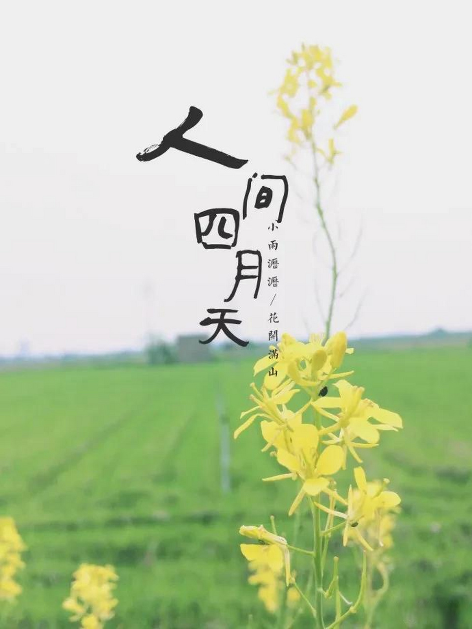 4月1日  人间最美四月天,不负春光与时行!  三月再见,四月你好!