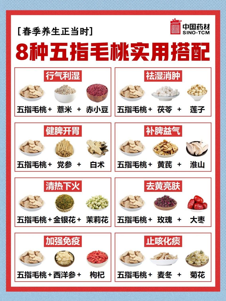 五指毛桃的最佳搭配图片