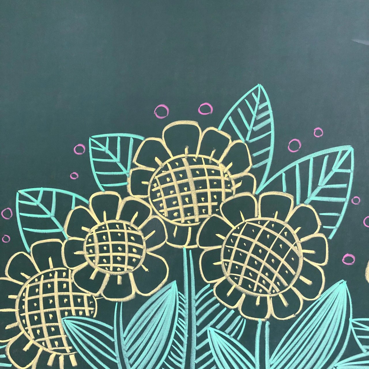 粉笔画,黑板画—向日葵🌻和仙人掌🌵 向日葵是充满阳光,充满朝气