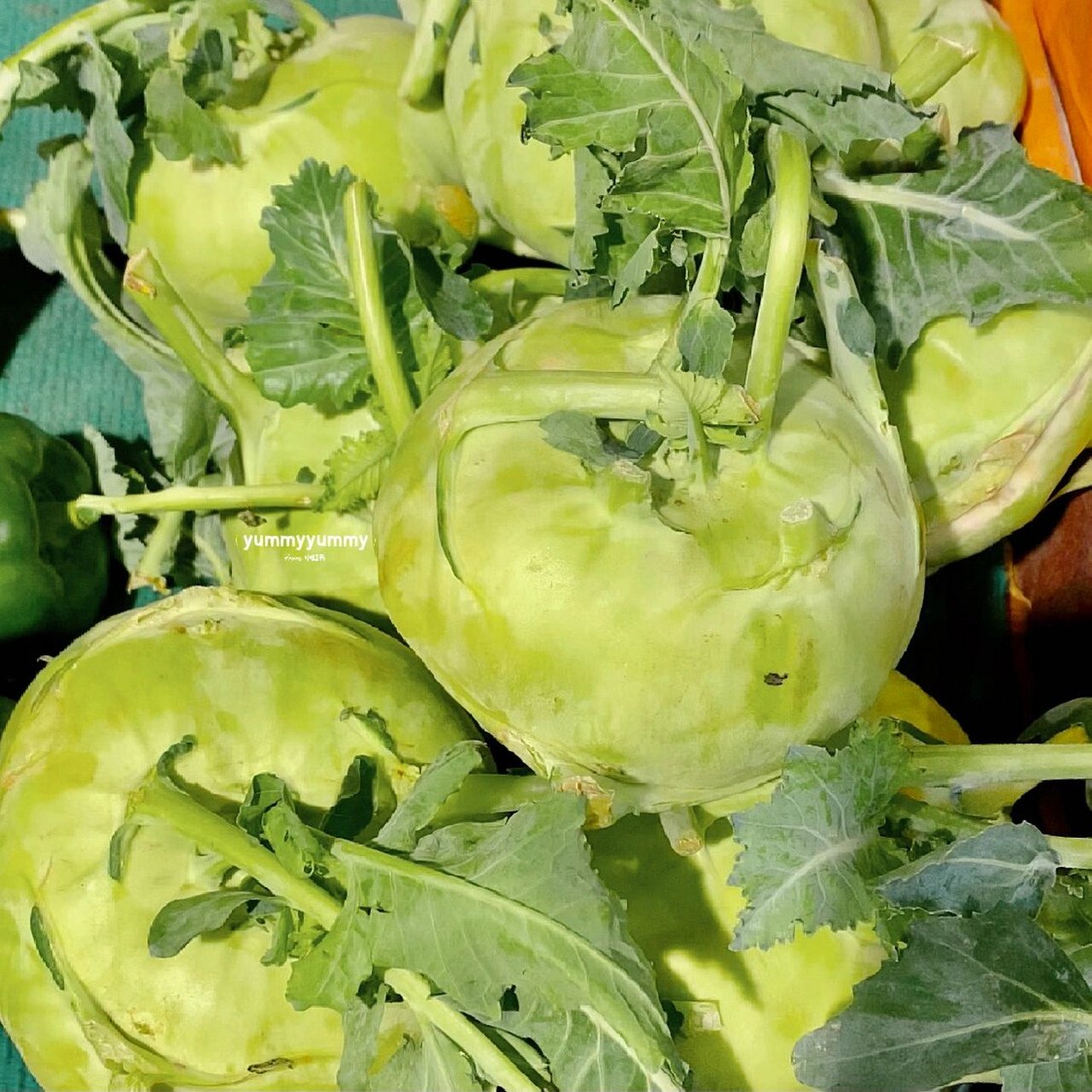 它是芥兰头不是萝卜 这个绿色圆嘟嘟的菜叫芥兰头或菜头,不是萝卜哈