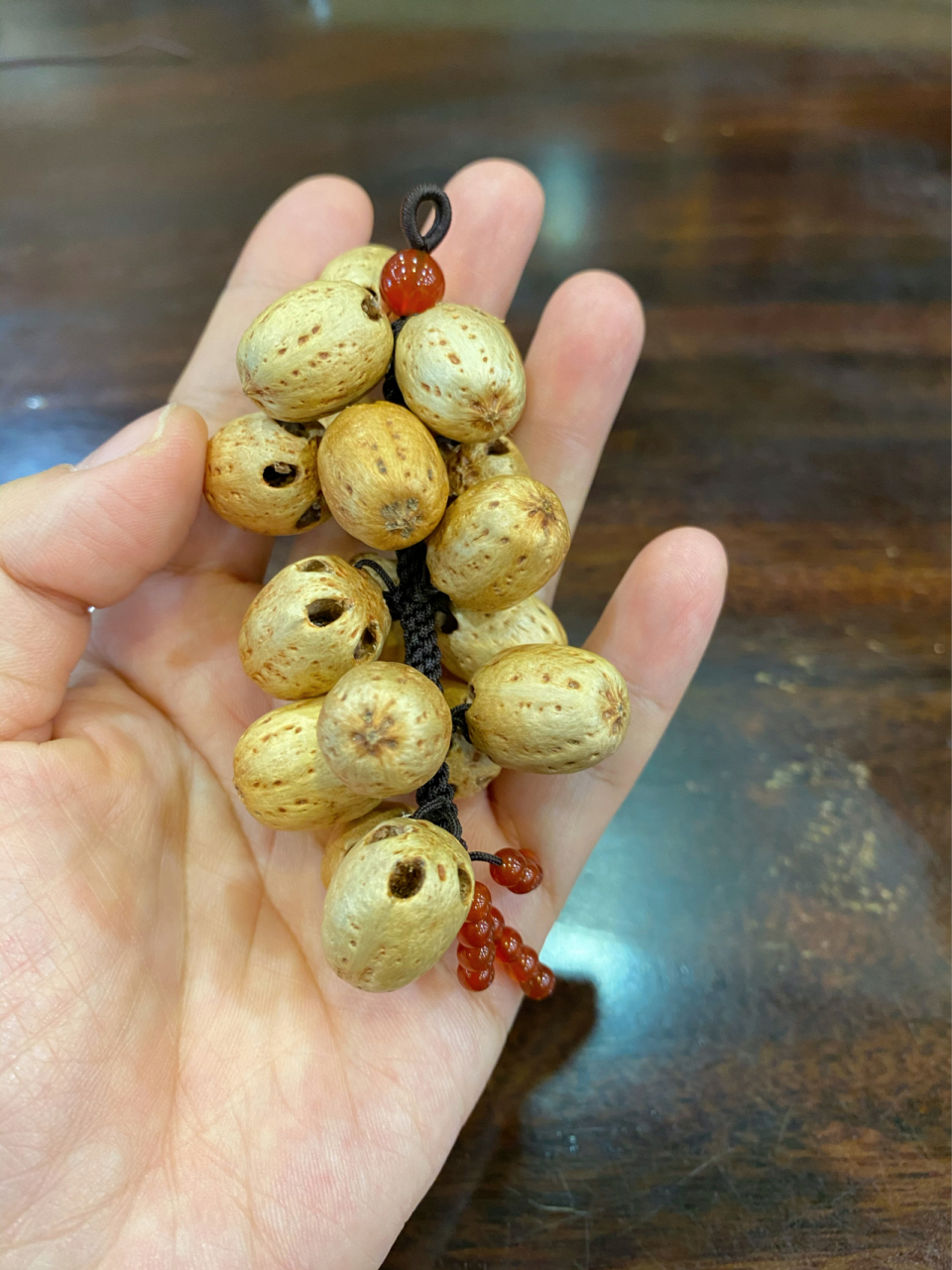 我们叫这个五眼果,做成挂件也可 我们叫这个五眼果,做成挂件也可