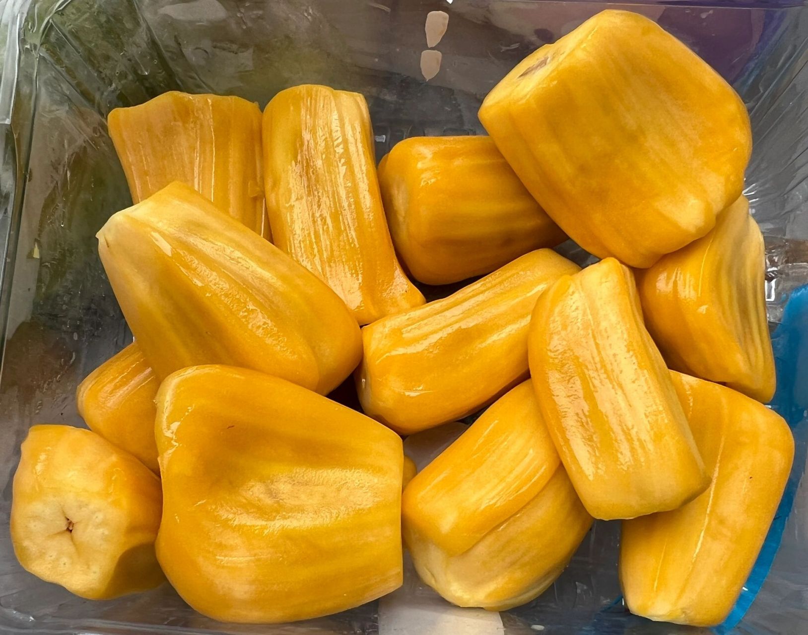 菠萝蜜这样是坏了吗?