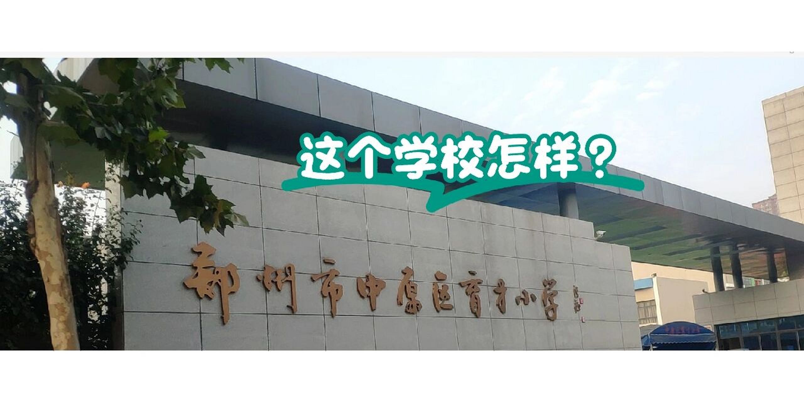 郑州市中原区育才小学怎样啊?