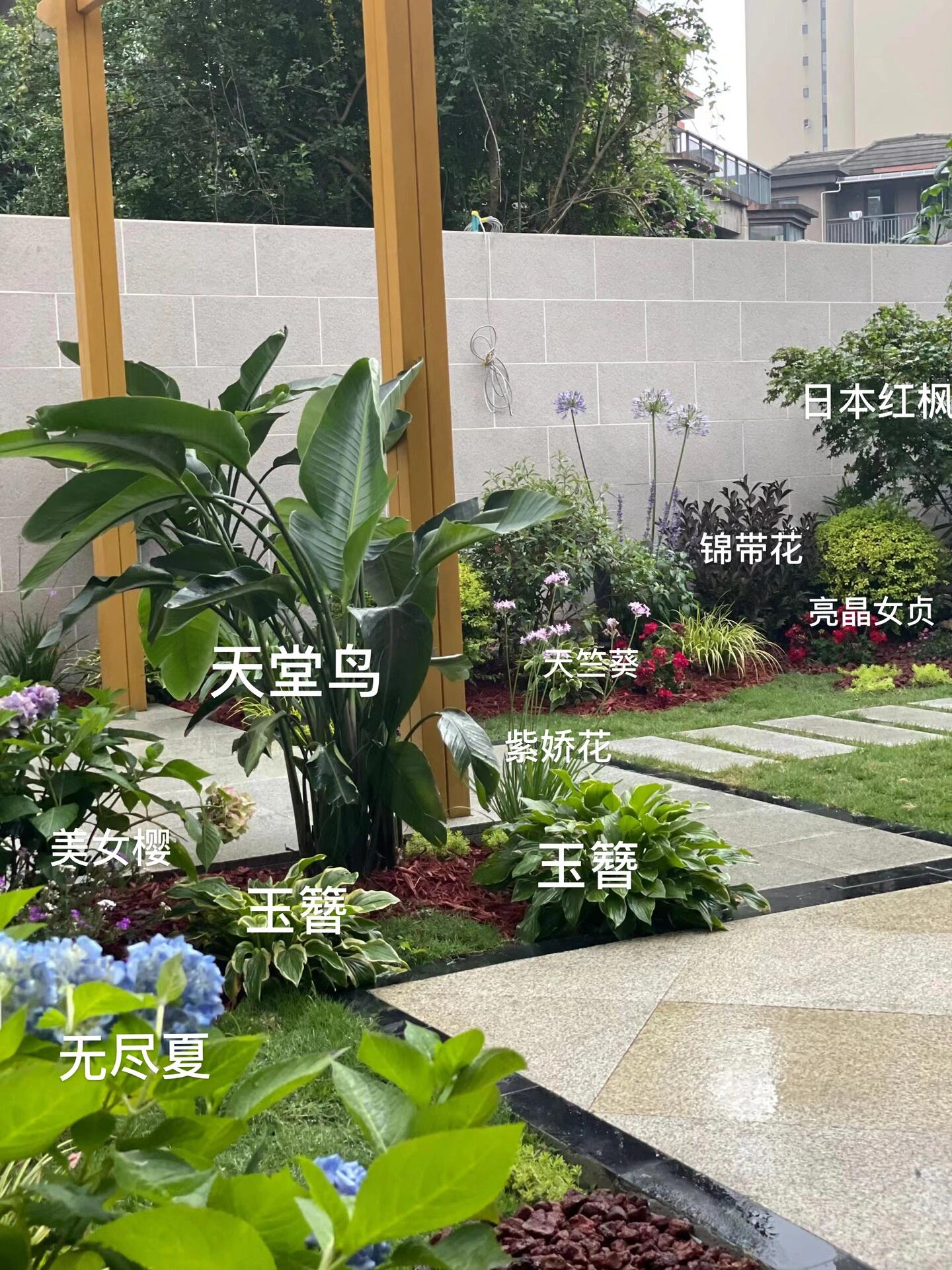 植物种植意向图图片