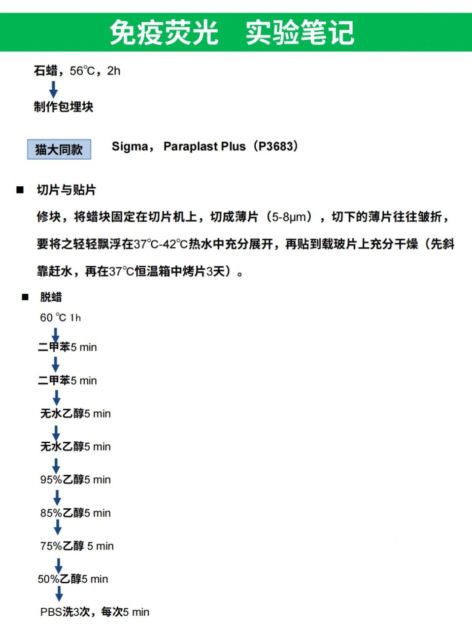 组织切片免疫荧光步骤图片