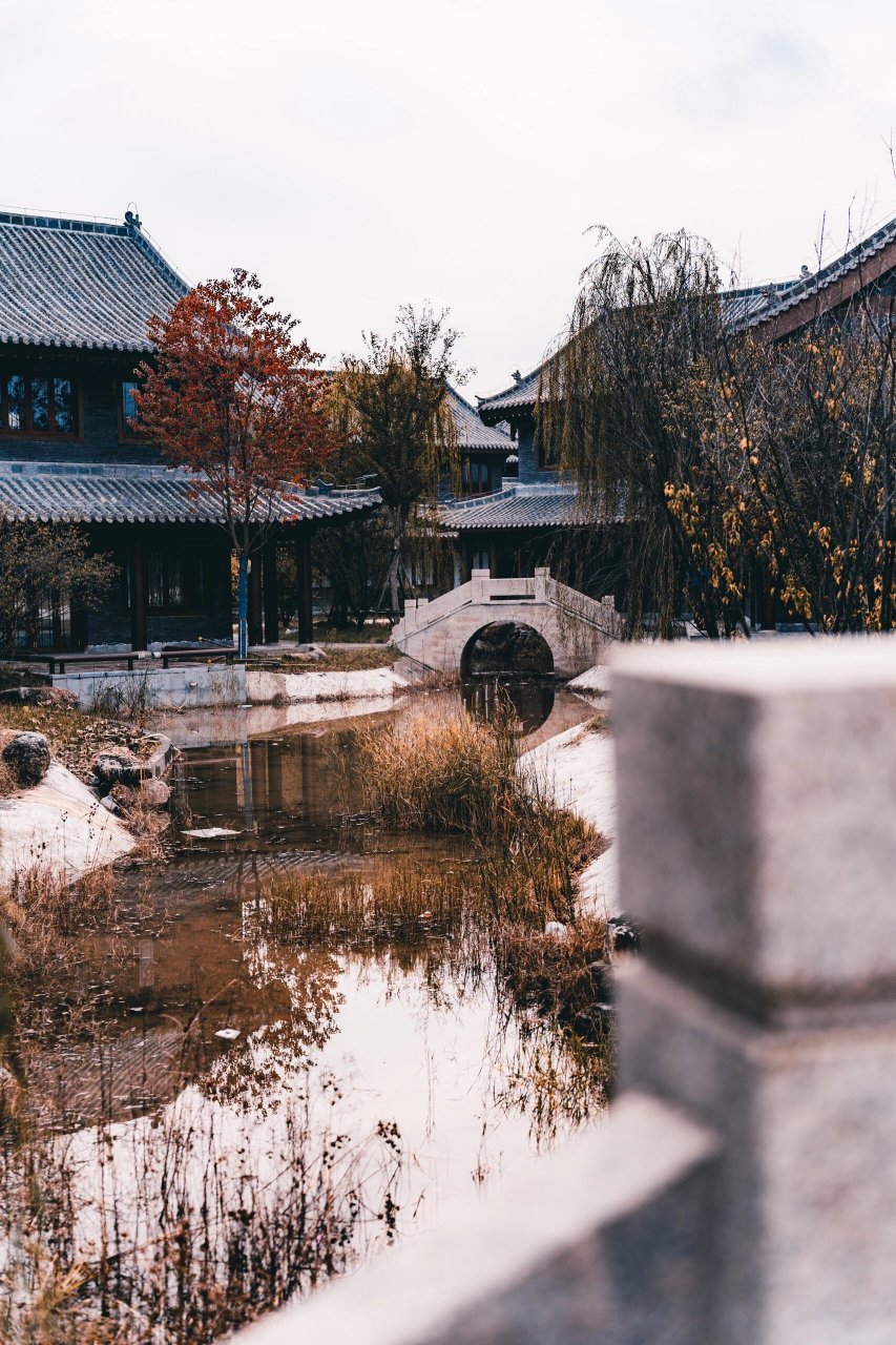 贾鲁河明伦岛游记:一场穿越千年的秋 在郑州的明伦岛,仿佛穿越了千年
