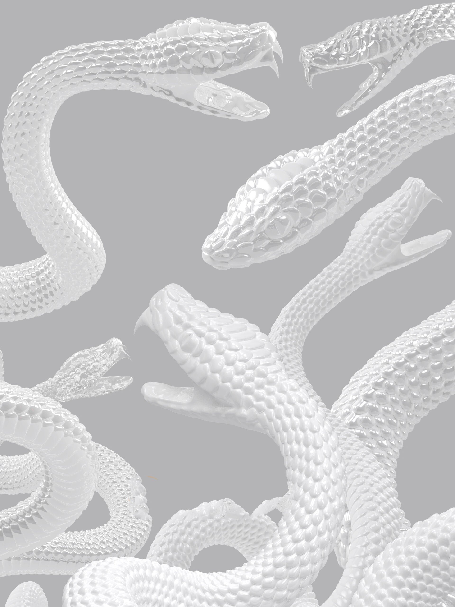 素材编号:99 白蛇里面还包含了水晶蛇,带一些些透明