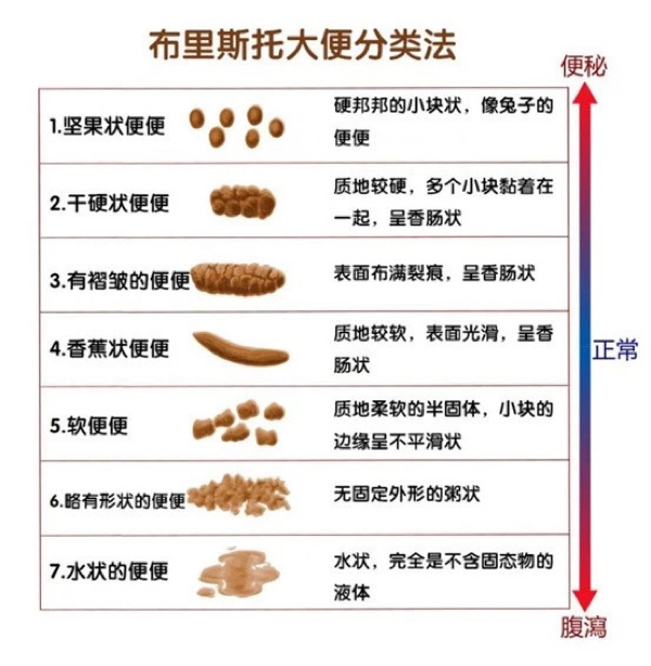 形状辨别法 大便的性状