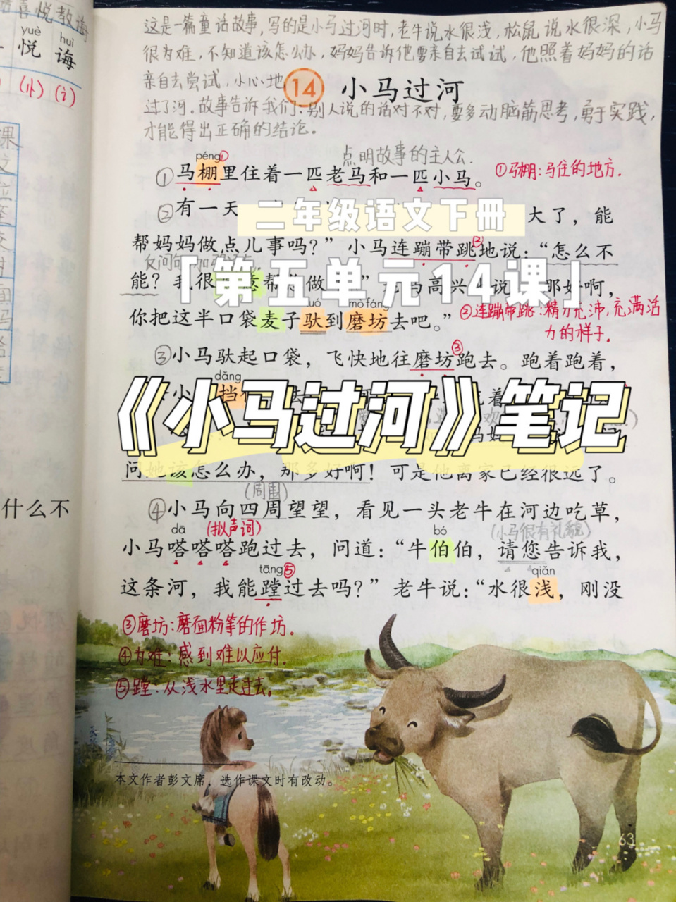 二年级下册语文笔记 14《小马过河》笔记 二年级语文下册 第五单元14