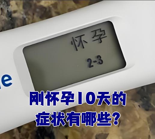 刚怀孕10天的症状有哪些?