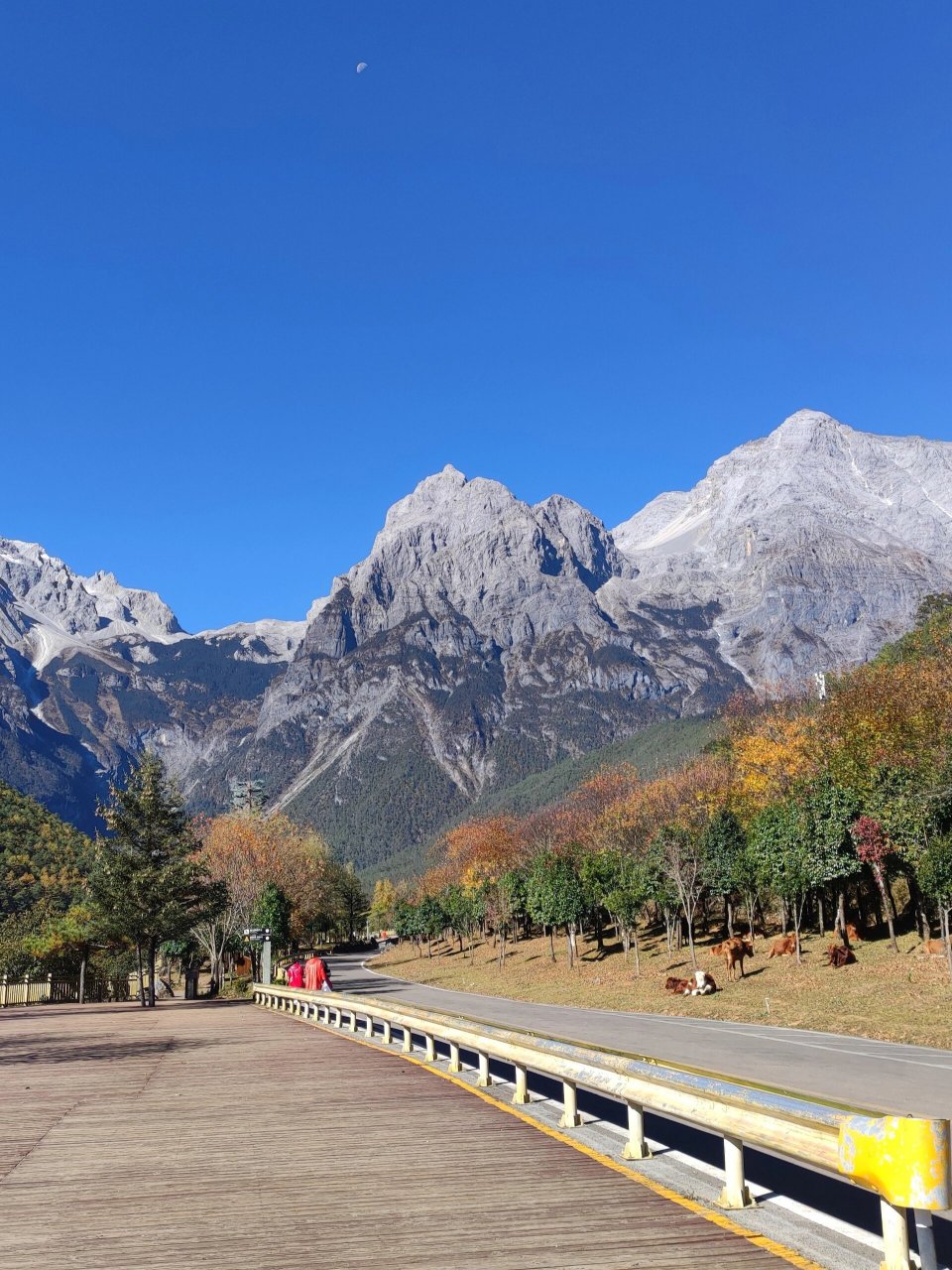 玉龙雪山东巴谷攻略,一定要去呀 去玉龙雪山的伙伴们,一定不要忘了