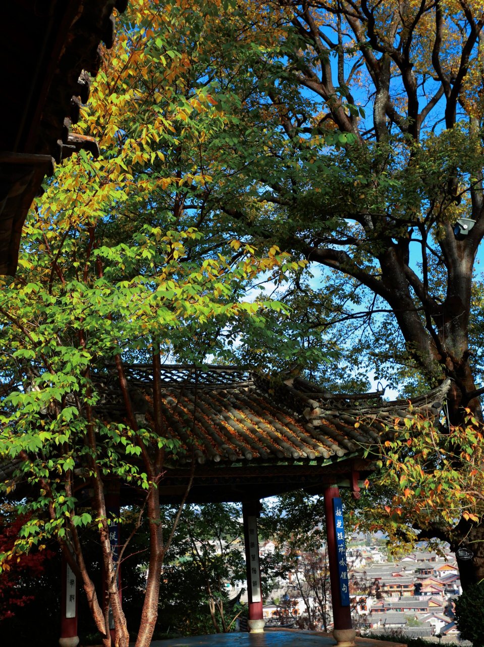 最优越的标签就是本身的文化底蕴; 说到丽江历史,就应该去趟文昌宫