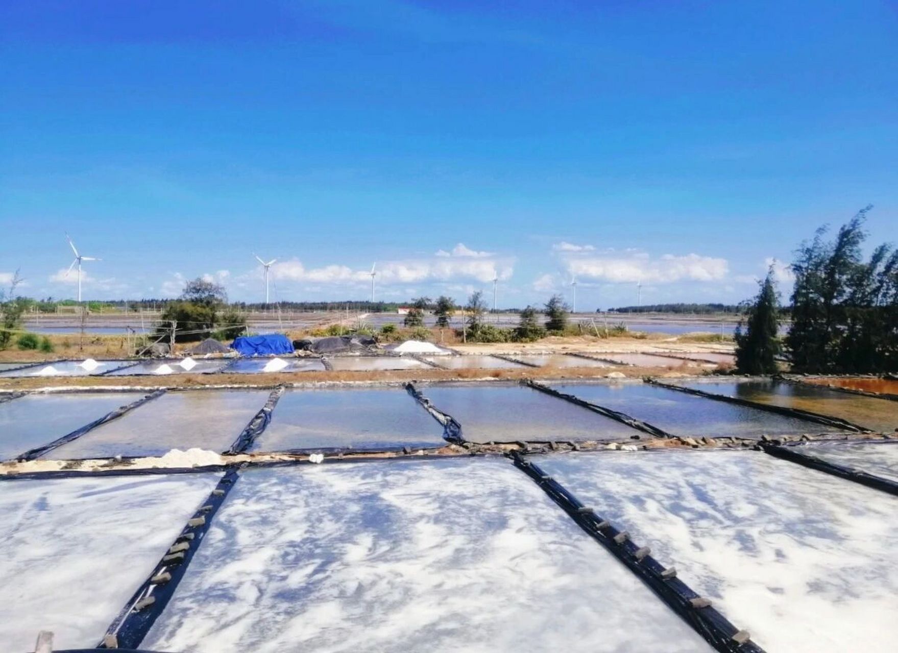 徐闻南极村盐田 在徐闻,还可以看看万亩盐田~看看海盐是怎样晒出来的