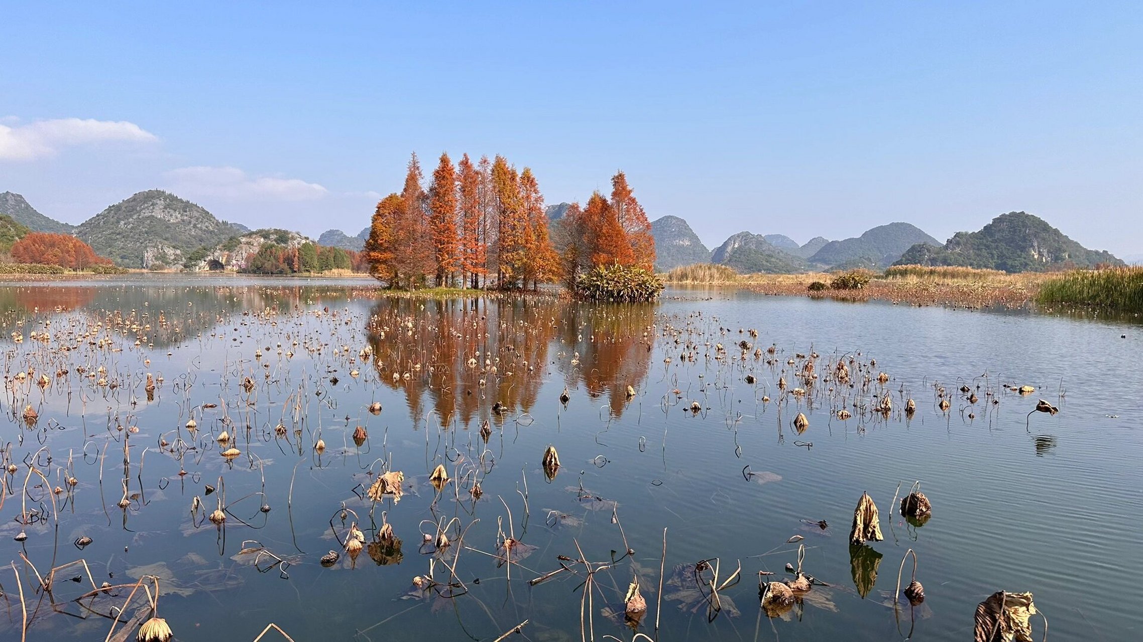 普者黑风景名胜区图片