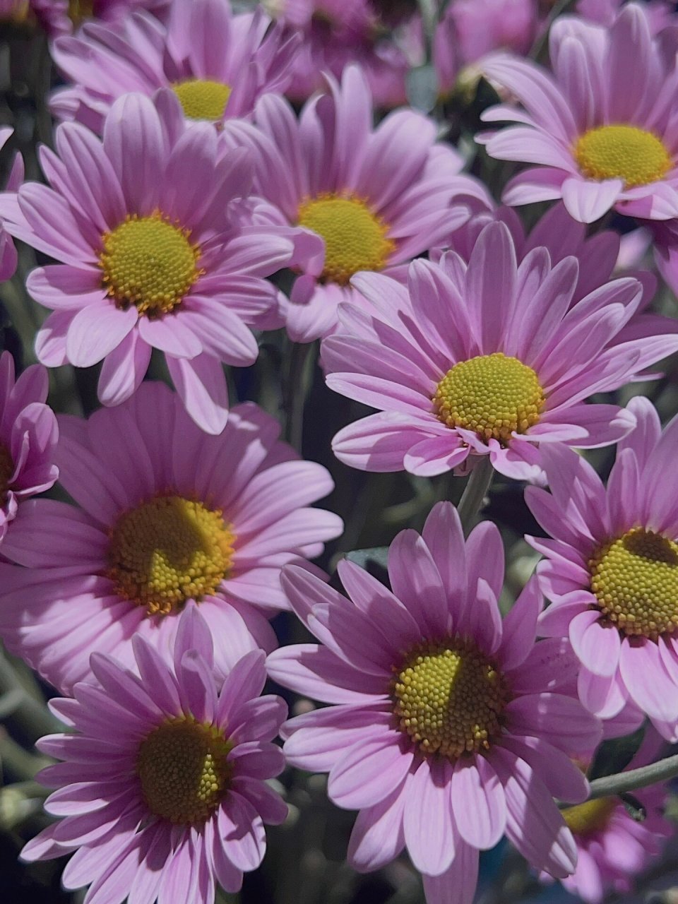 9米左右(会变动) 	 刚