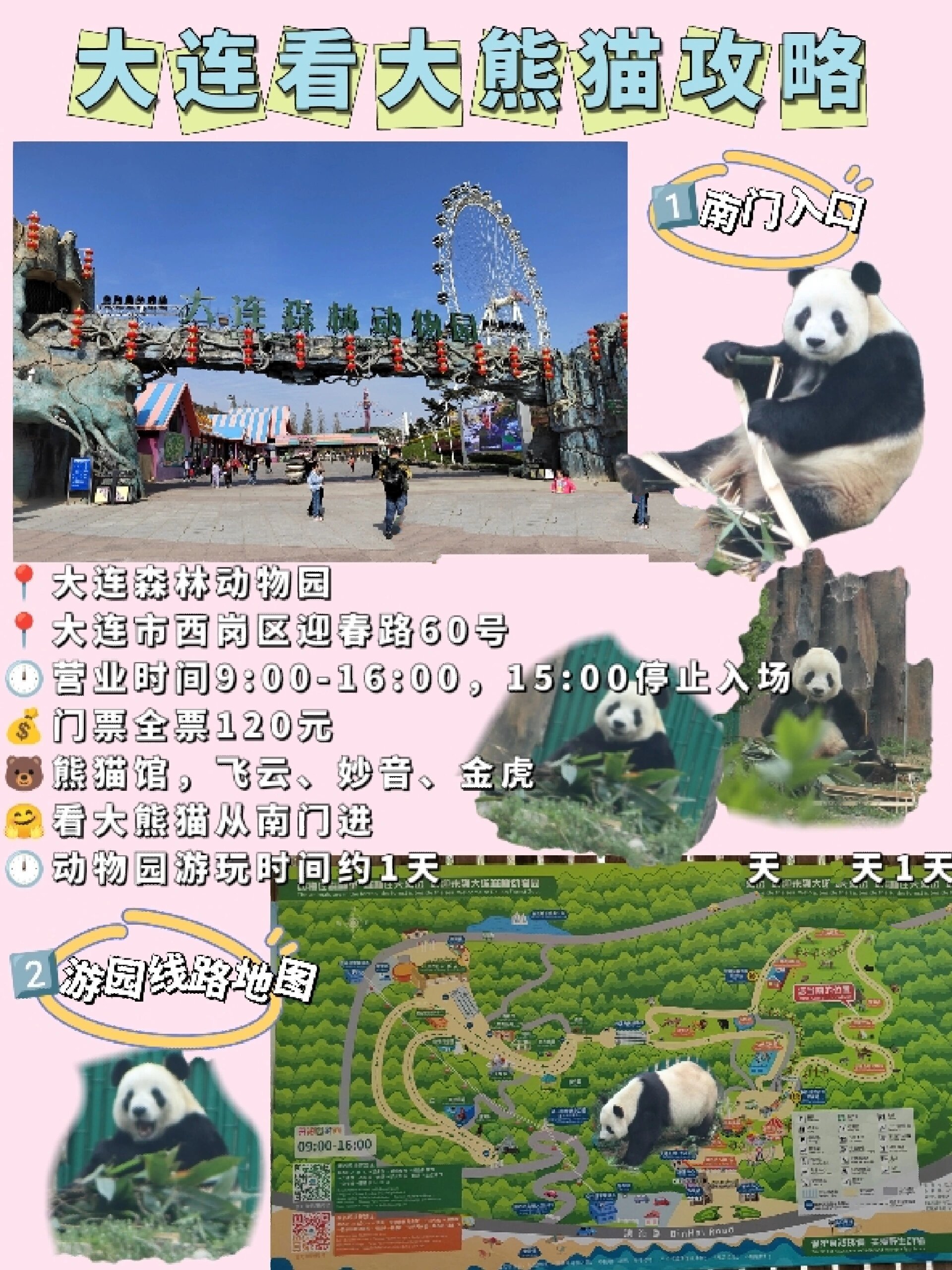 看飞云超详细攻略