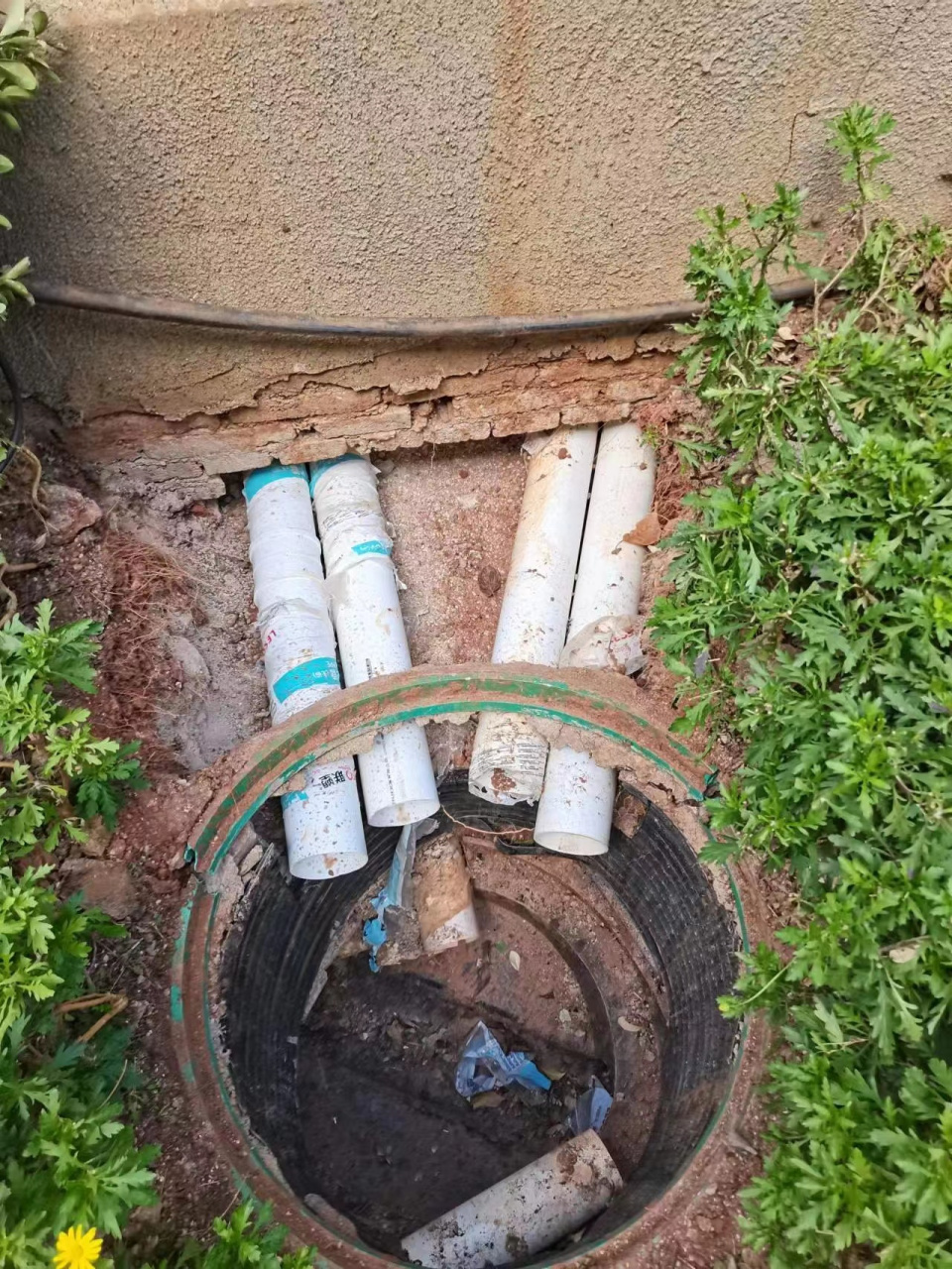 买了一楼的宝们,检查过下水是独立排水吗?