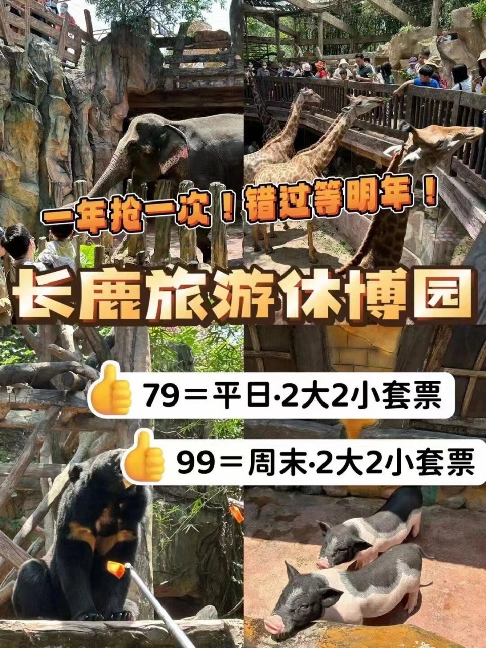 长鹿农庄99元套票住宿图片