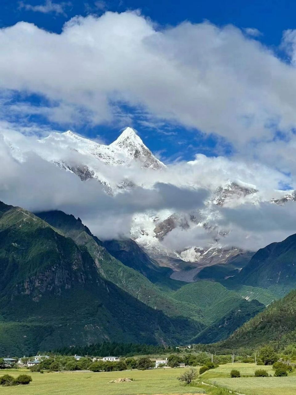 西藏林芝|藏上江南,3天2夜体验高原氧吧!