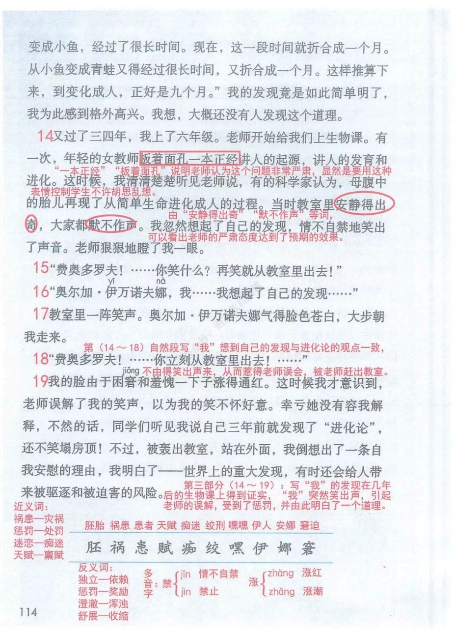 童年的发现课堂笔记图片