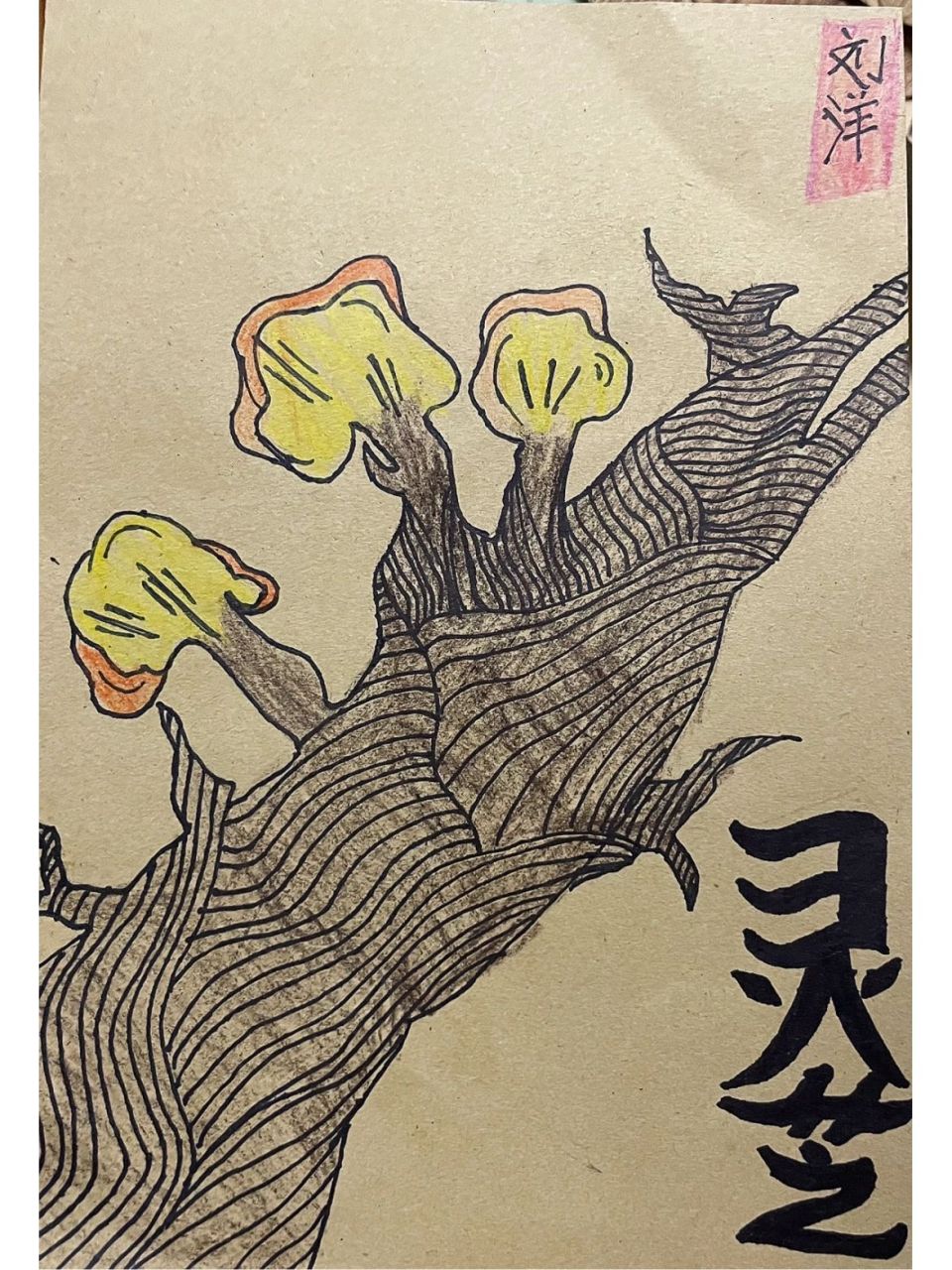 【5】线描彩铅画|灵芝96 78今天我们的主题是【灵芝】 911,知识