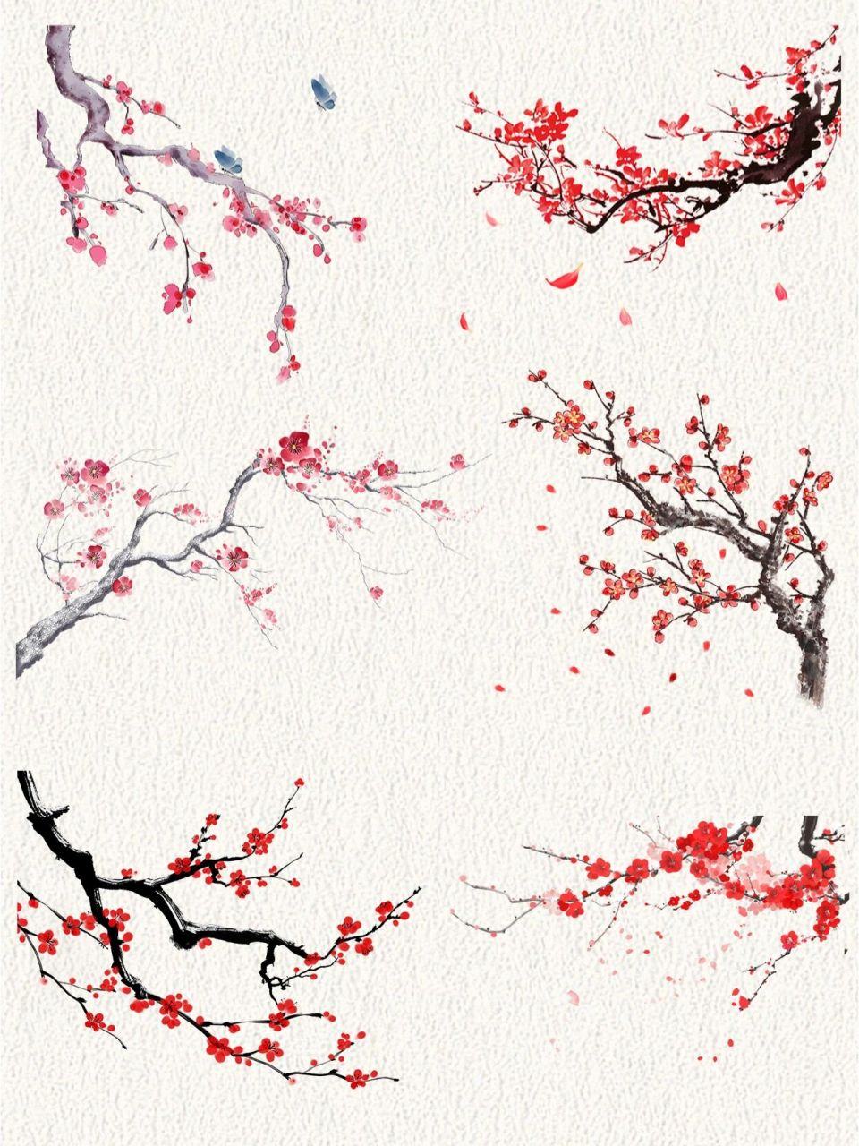 中国风植物免扣素材—梅花 宝贝们,今天分享的是一组中国风红色免抠