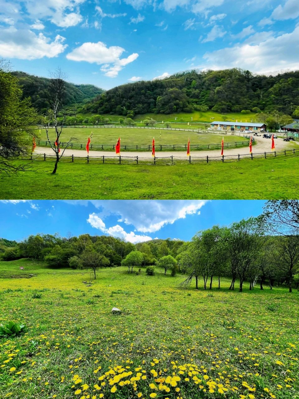 宝鸡大水川 九龙山/夏日清凉避暑好地方 "天苍苍,野茫茫,风吹草低见
