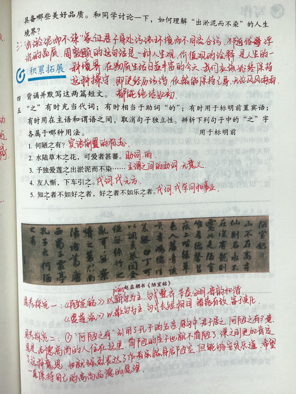 《爱莲说》初一下册课文笔记 寒假必须内卷起来