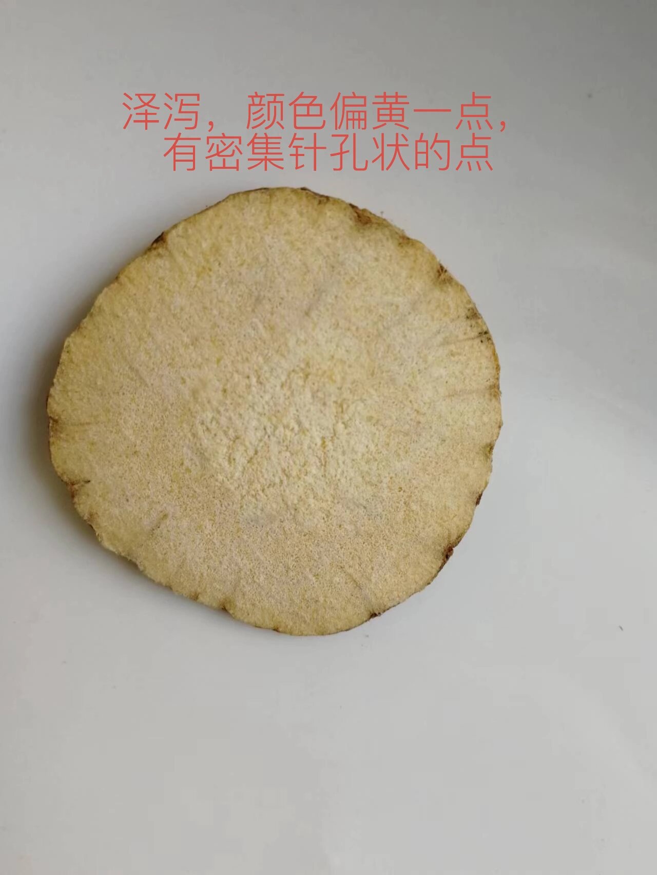 三棱莪术的副作用图片