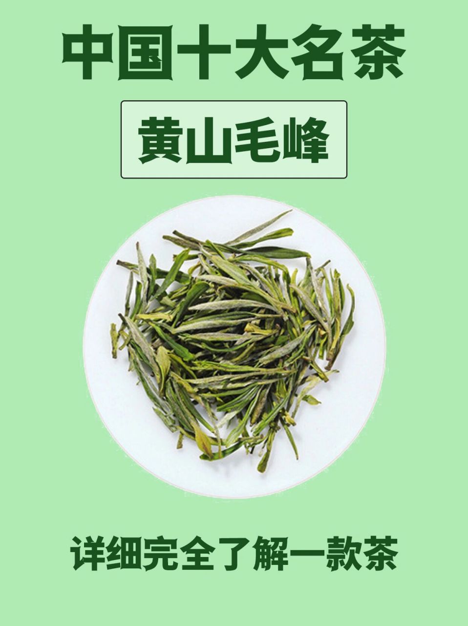 中国十大名茶95黄山毛峰 黄山毛峰是中国十大名茶之一,绿茶中的珍品