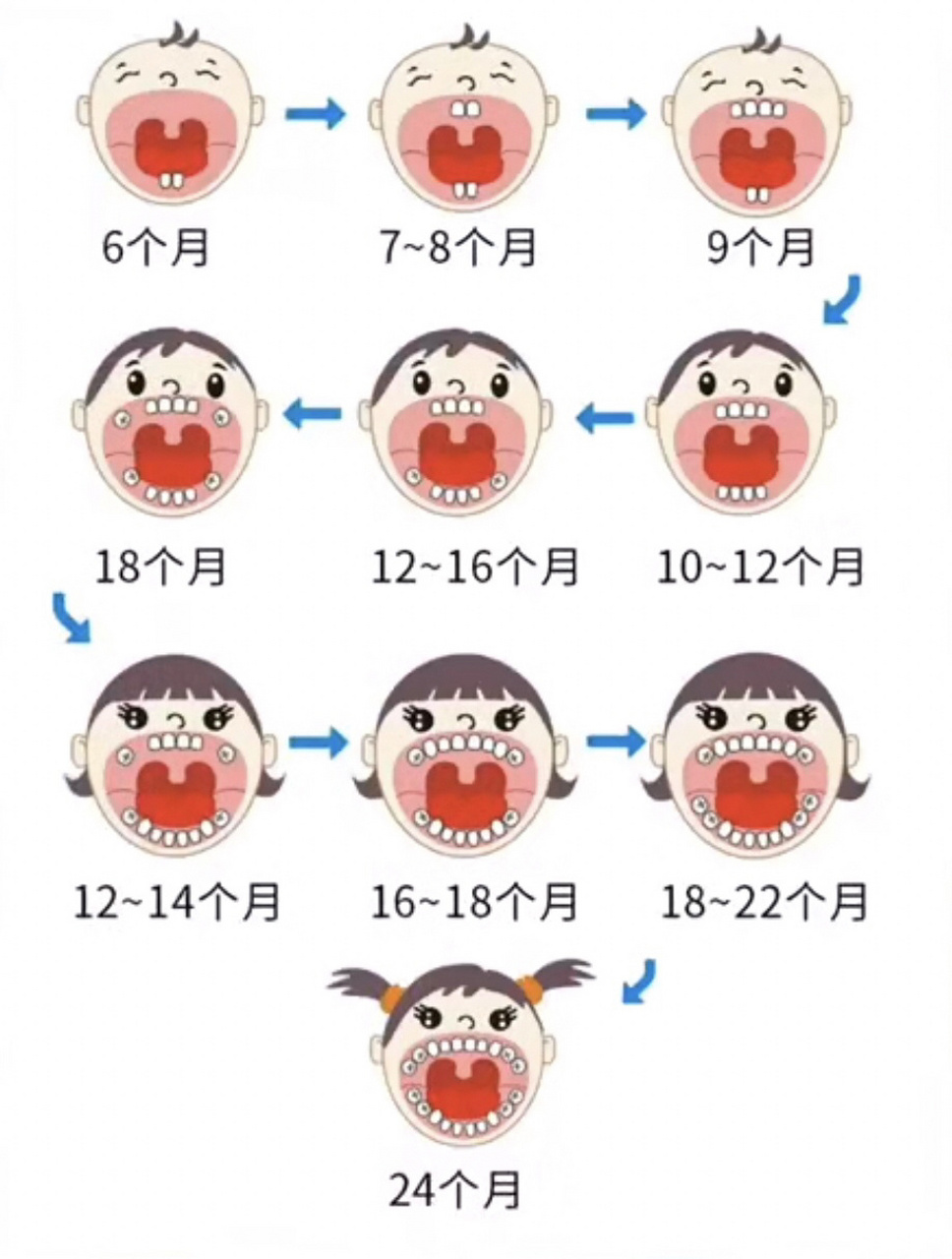 大部分是按照上面94的顺序排列生长,个别宝宝可能也有顺序颠倒或者