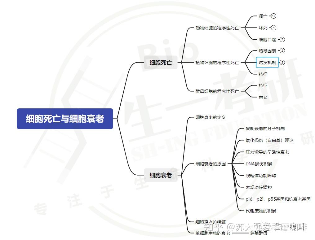 细胞的癌变的思维导图图片