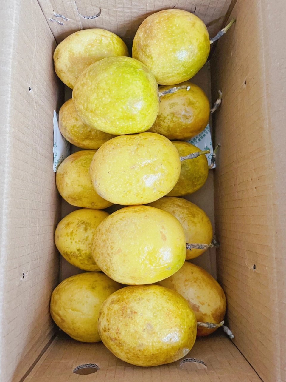 97海南的黄金百香果真的封神了! 98guang!