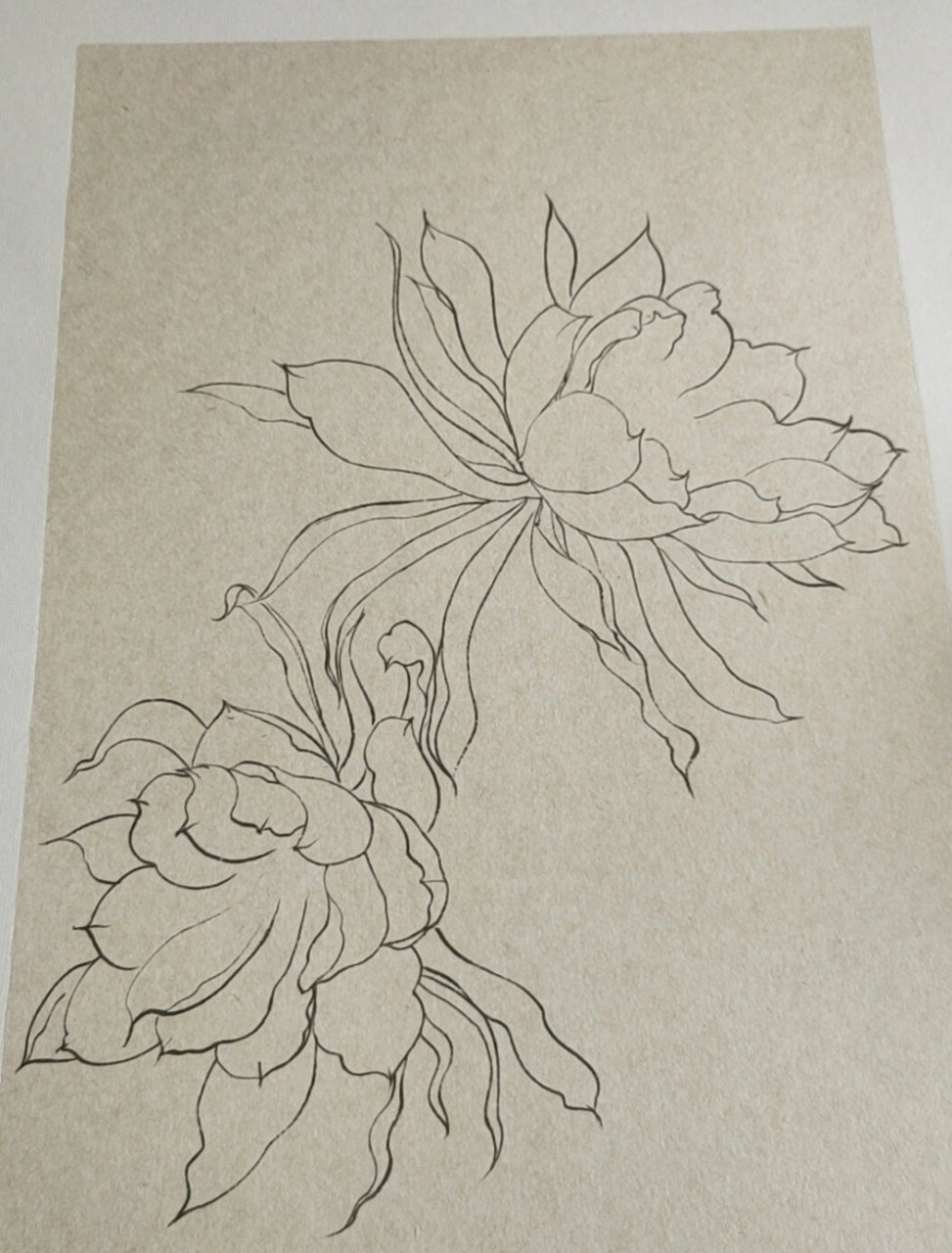 124《昙花》