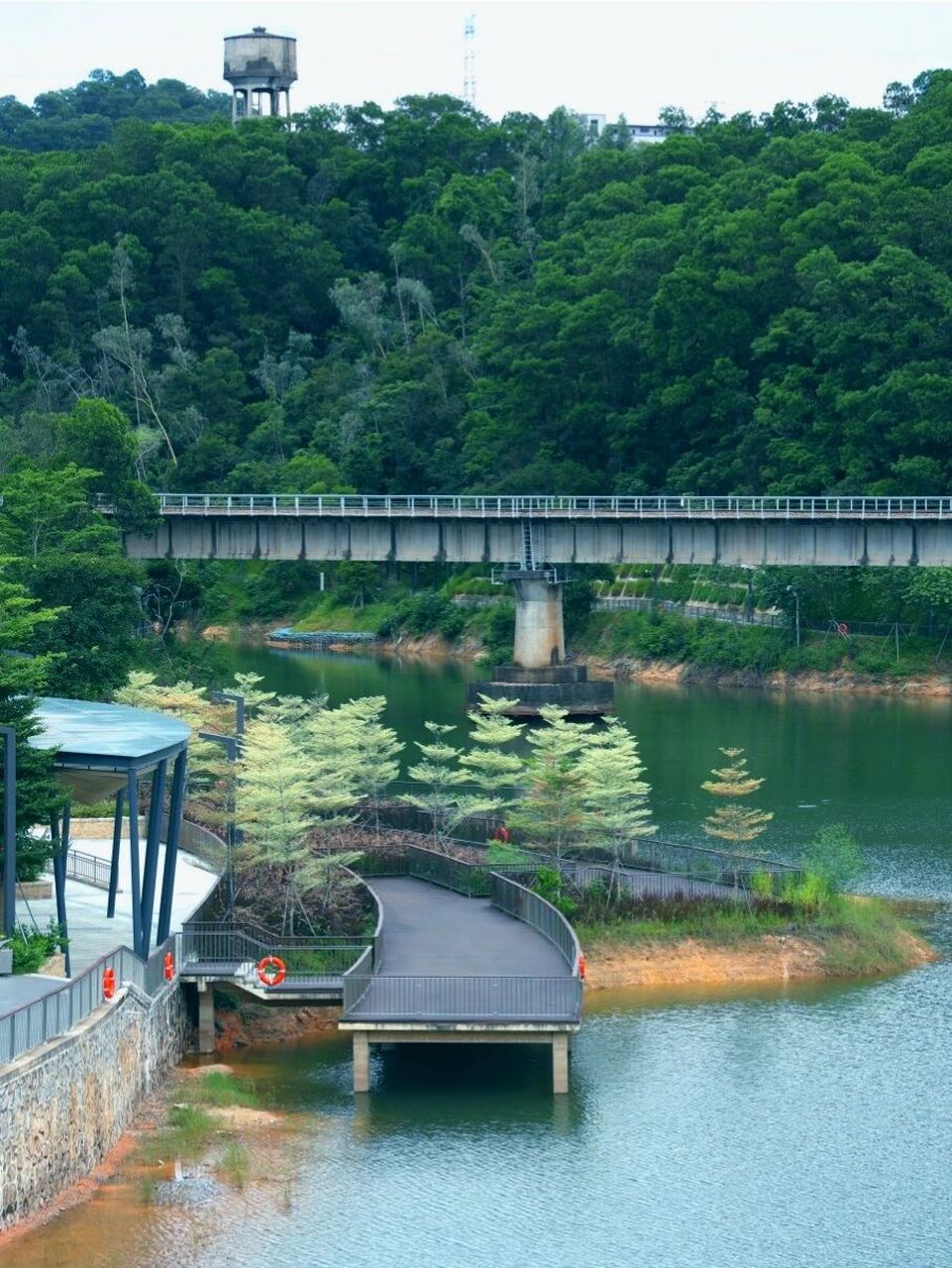 坂田附近的公园图片